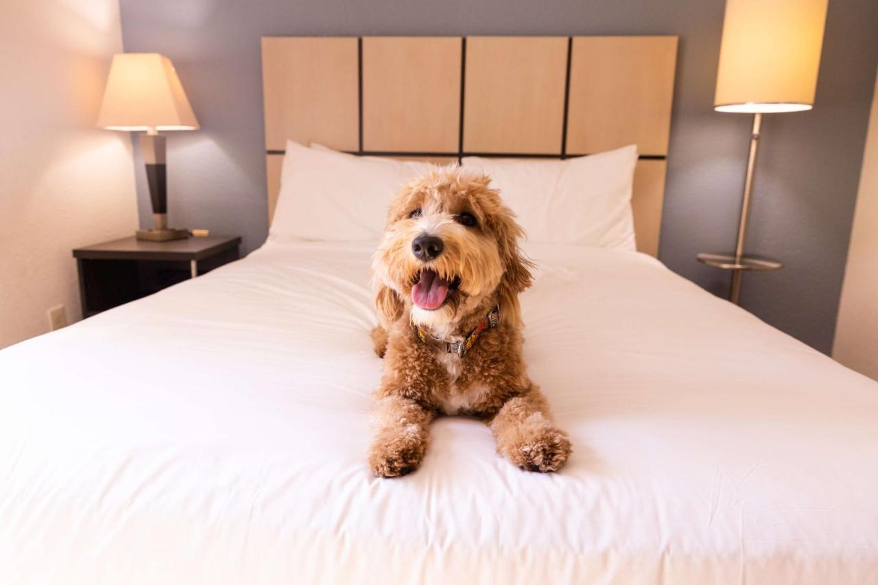 Sonesta Simply Suites Anaheim Garden Grove Zewnętrze zdjęcie